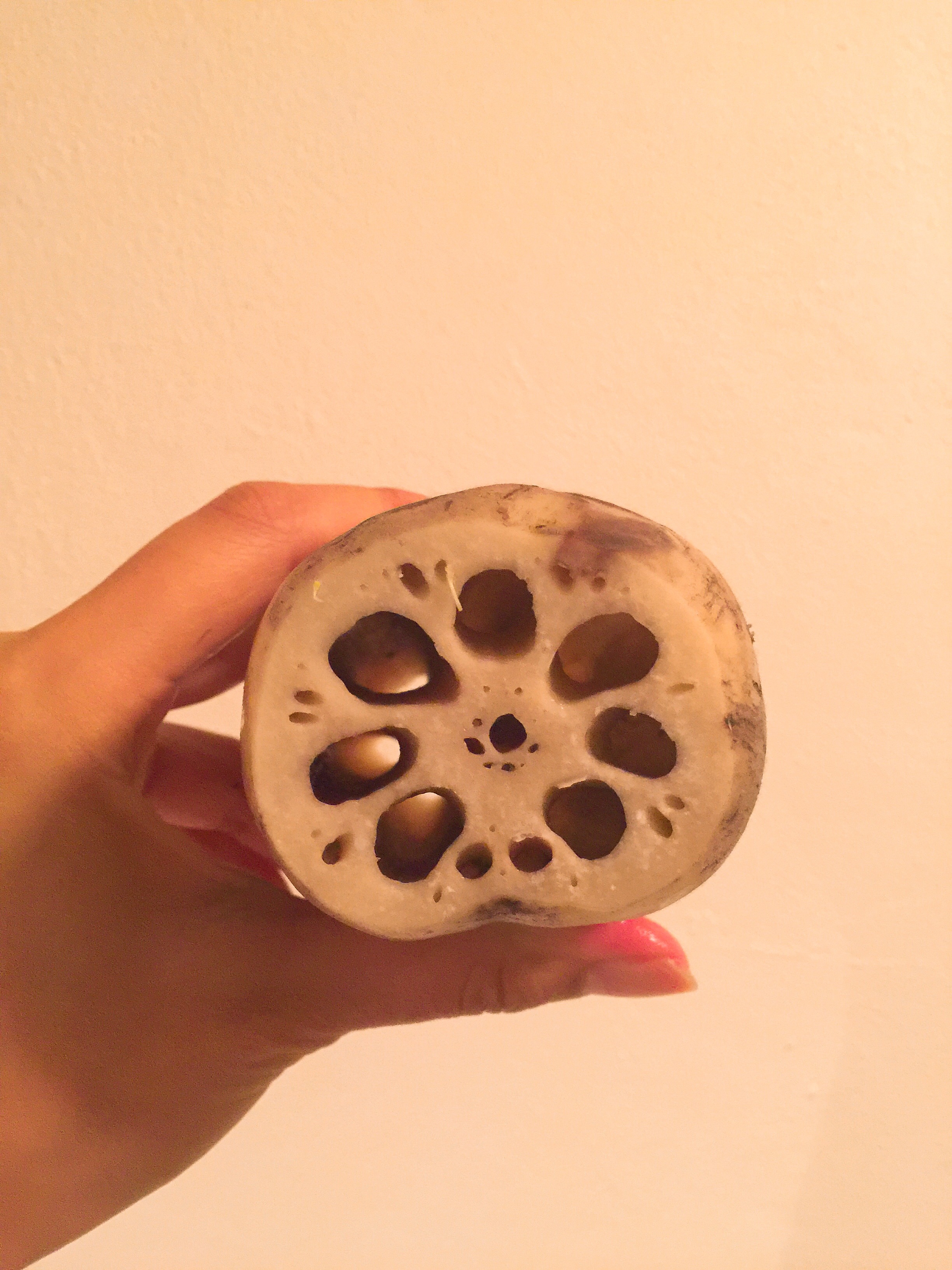 Lotus root