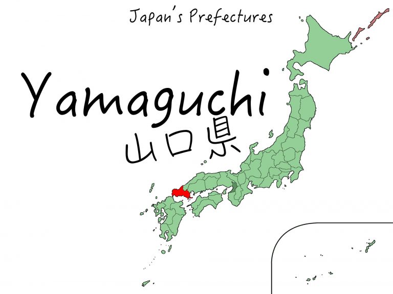 amazing yamaguchi official website